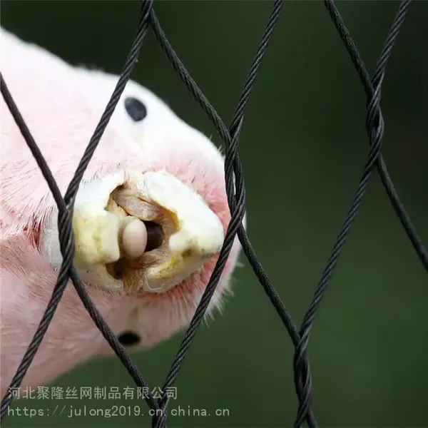 Stainless Steel Zoo Mesh for Secure Animal Containment Areas