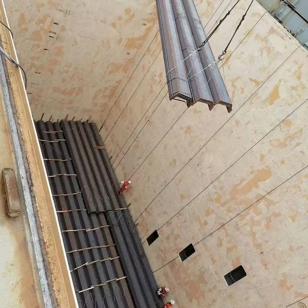Anti-Corrosion Steel Sheet Pile for Flood Control Project photo-2
