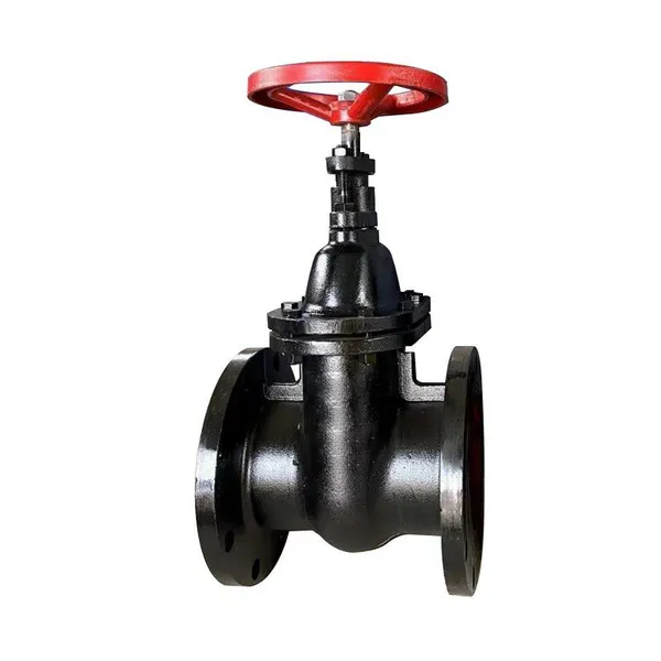 Manufacturer Direct Sales Cast Iron Flange Gate Valve Manual Wedge Valve photo-4