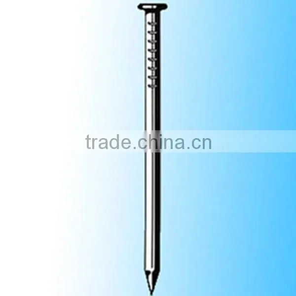 China Wholesale Polished Common Nail Iron Nail/Common Wire Nail photo-2