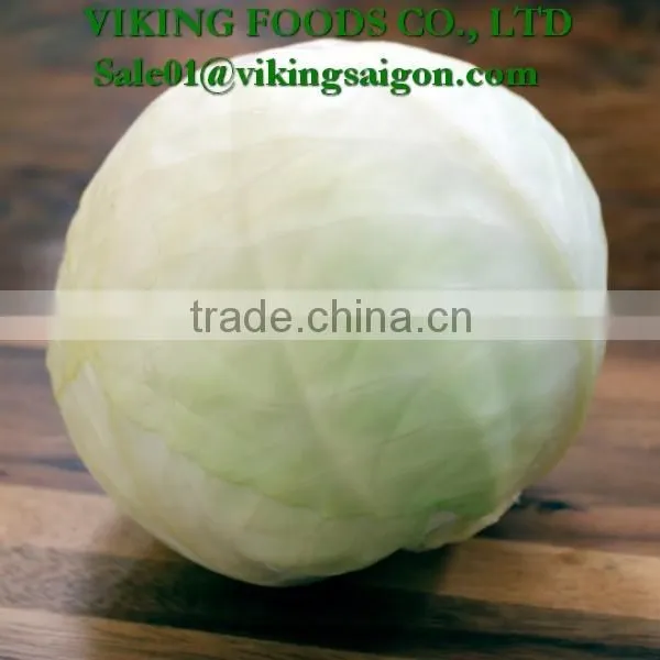 *Special _ Fresh Green Cabbage _ From Vietnam* photo-3