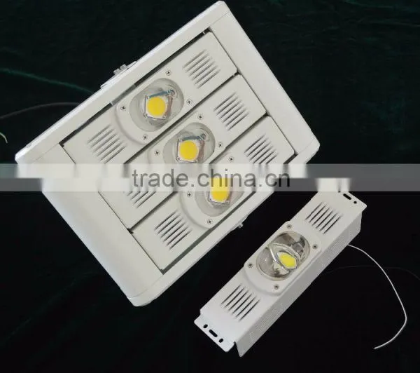 Aluminum Alloy Lamp Body Standardized Modular Design Led Project Light 100W photo-3