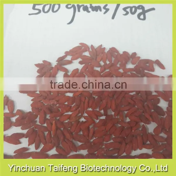 Gojiberry From Manufacturer photo-3