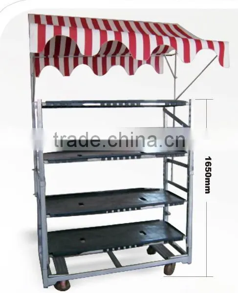 Show Trolley With Roof for Flower Shop photo-3