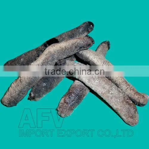 Dry Sea Cucumber Vietnam, Lolly Fish, Holothuria Atra photo-3