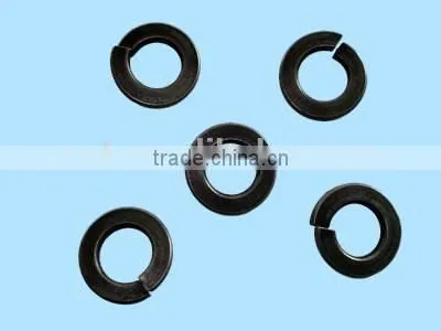 All Kinds of Standard Washer Flat Washer Plain Washer,2016 Hot Sale Manufacturer Stainless Steel DIN125 Plain Washer photo-3