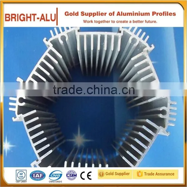 Industrial Aluminum Profile/aluminum Extrusion for Heat Sink
