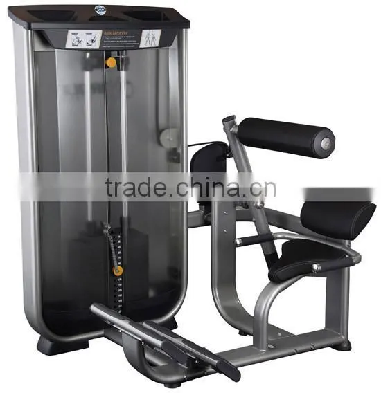 Back Extension Equipment D-1009 photo-2
