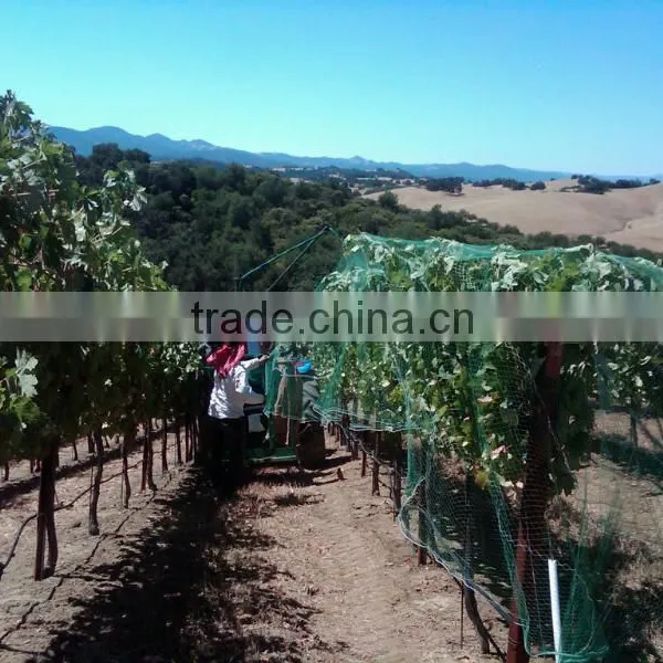 (20 Years Factory) Hot Selling ,2013 New Arrival, Low Cost White Vine Netting on Grapes , 39 GSM / 20101-39 photo-2
