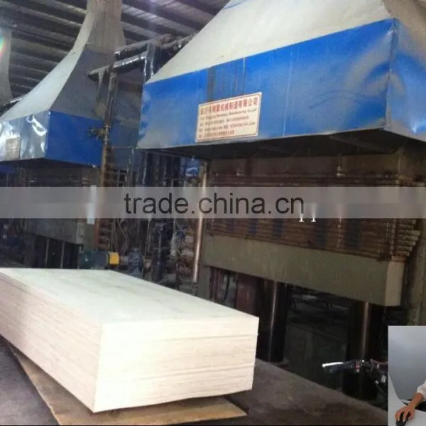 Block Board/plywood Lamination Hot Press /4x8ft/thickness 3 to 25mm photo-6