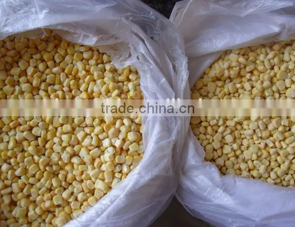 IQF Frozen Sweet Corn Kernels photo-2