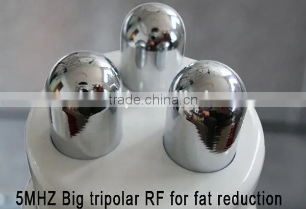 2016 Hot 5 Treatment Handles Cavitation Weight Loss Slimming photo-4