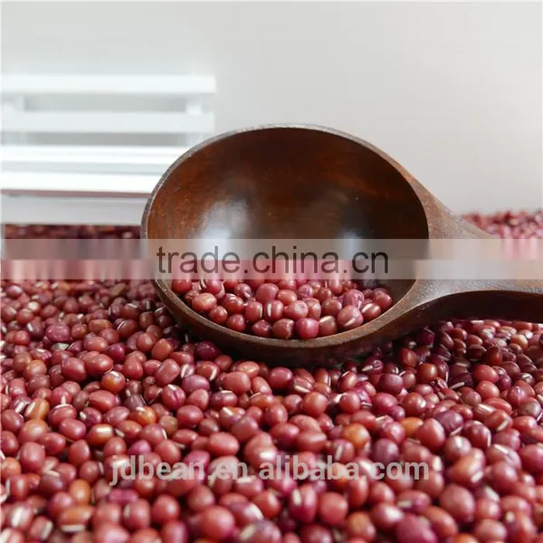 Dark Red Kidney Bean Big Size 200-220pcs/100g Rajma for Canned photo-2
