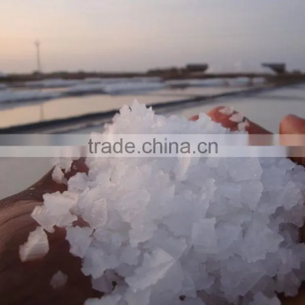 India Sea Salt