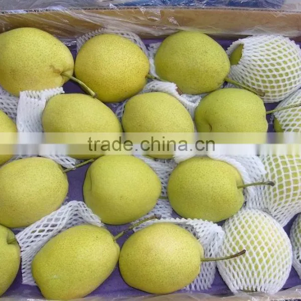 Fresh Shandong Pear 60-70-80 in 15kg Carton photo-2
