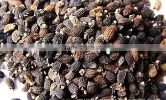 Pharmaceutical Medical Borage Seed Oil Good for Female photo-3