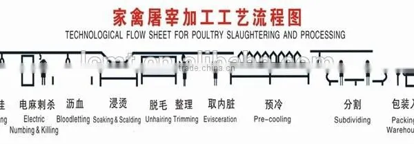 Poultry Slaughter Equipment/chicken Meat Processing Machinery /chicken Meat Cutting Machine photo-6
