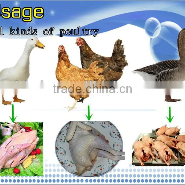 Factory Price HHD CE Approved Poultry Farming Equipment Chicken Plucking Machine/chicken Plucker for Sale NCH-80 photo-4