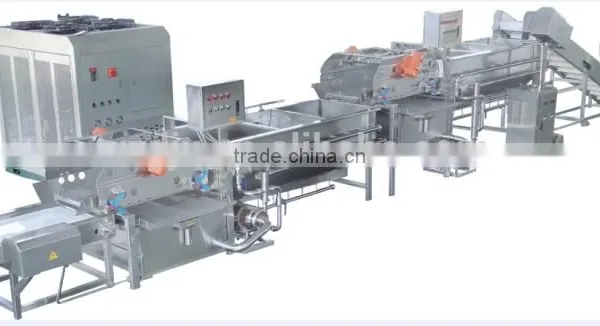 Commercial large capacity vegetable and fruit processing line for washing