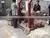 New Designed 150-200kg/h Output PHJ65 Modified Starch Making Mchine in Zhangqiu Haiyuan photo-3