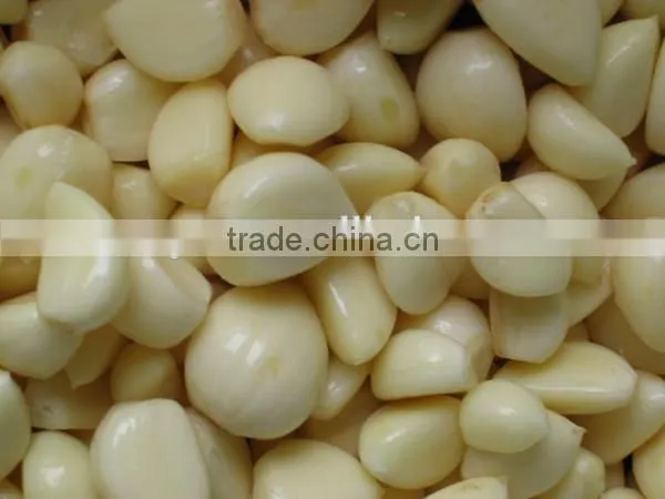 Garlic Peeler Machine/stainless Steel Garlic Peeler/garlic Skin Peeler photo-2