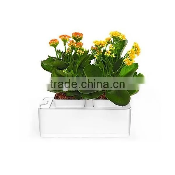 2014 Newest Office Decoration Mini Smart Garden photo-5