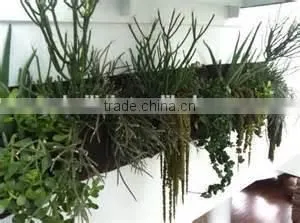 Vertical Wall Hanging Flower Planter Bag,Hanging Flower Grow Bag,Flower Growing Bags/waterproof Wall Hanging Bag photo-2
