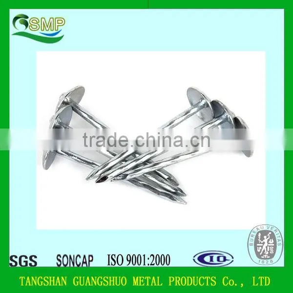 Umbrella Head Galvanized Roofing Nails With Rubber Gasket photo-2