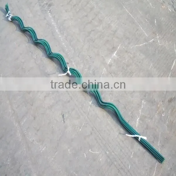 Galvanizing Tomato Spiral Plant Support Factry photo-3