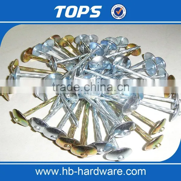 Smooth Shank Galvanized Roofing Nails/gal Roofing Nails photo-2