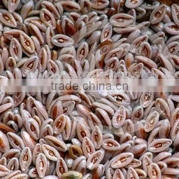 Psyllium Seeds photo-3