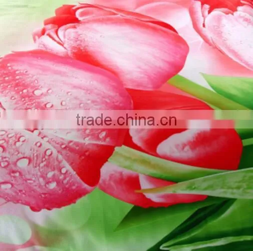 Chinese Factory Digital Print Bamboo Bed Linen photo-4