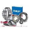 Supply SKF Ball and Roller Bearings With Stocks