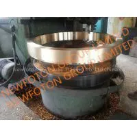 Bronze Worm Gear photo-2