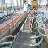 High Degree Automation PVC Profile Extrusion Machine For Windows Doors Frames