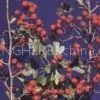 Hawthorn