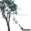 Sell Pole Saw for Tree Pruning
