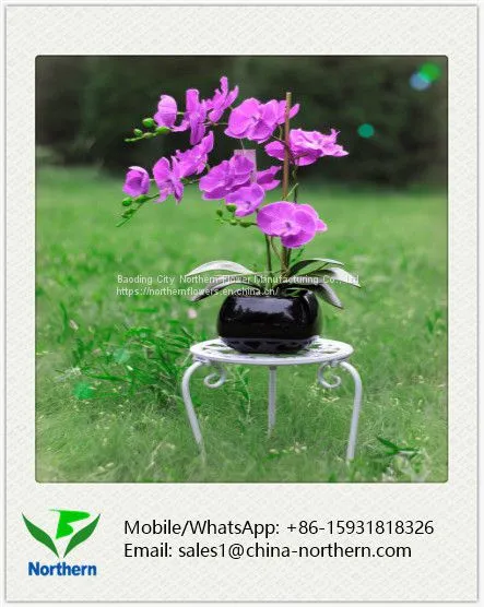 Home Decoration Natural Looking Artificial Orchid