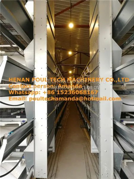 Mexico Chicken Farm H Type Automatic Chicks Cage & Pullet Cage in Brooding Room With Poultry Climate Control photo-2
