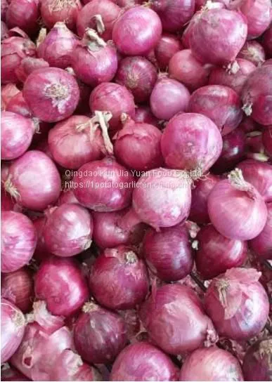 Fresh Onion photo-2
