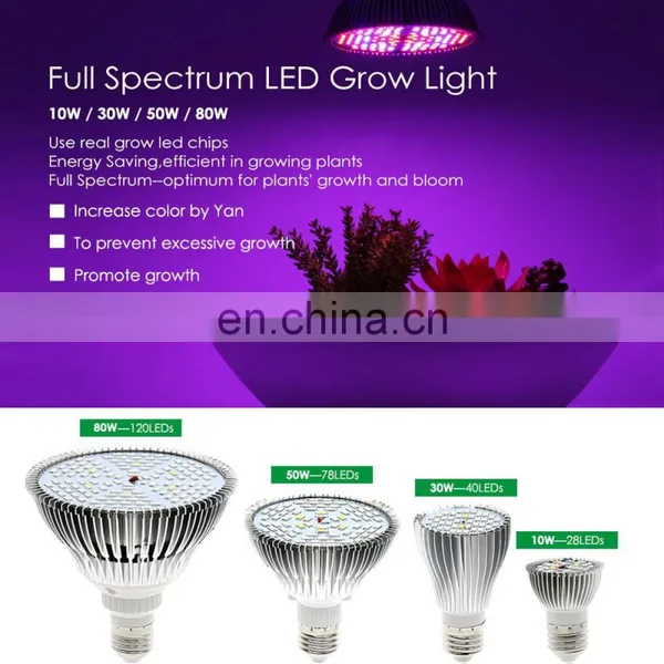 Smart 10W 30W 50W 80W Full Spectrum Led COB Plant Flower Grow Hydroponics Lamp Light photo-6