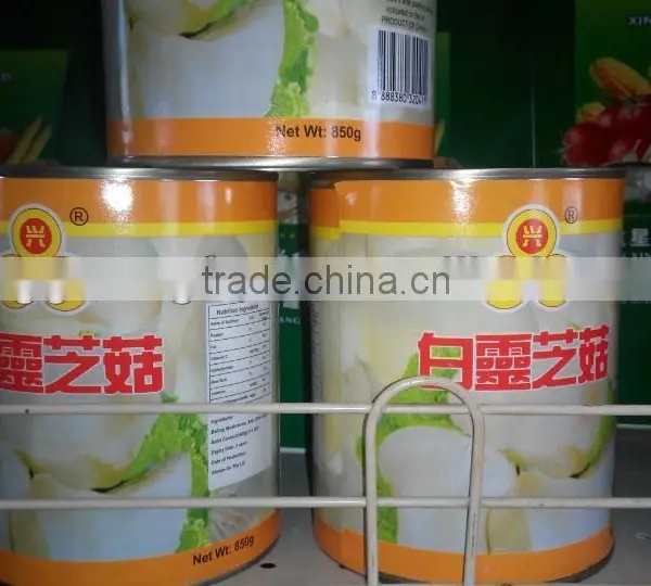 Canned Fresh Bailing Mushroom