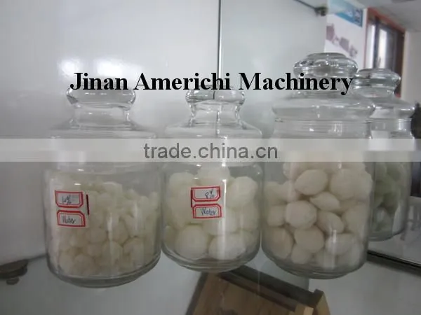 Potato/ Tapiaco/ Corn/ Wheat/ Sweet Potato Modified Starch Extruder photo-6