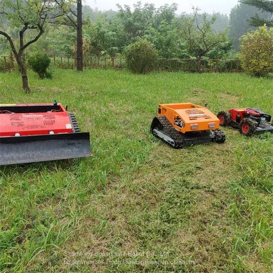Slope Mower China Manufacturer Factory Supplier Wholesaler photo-3