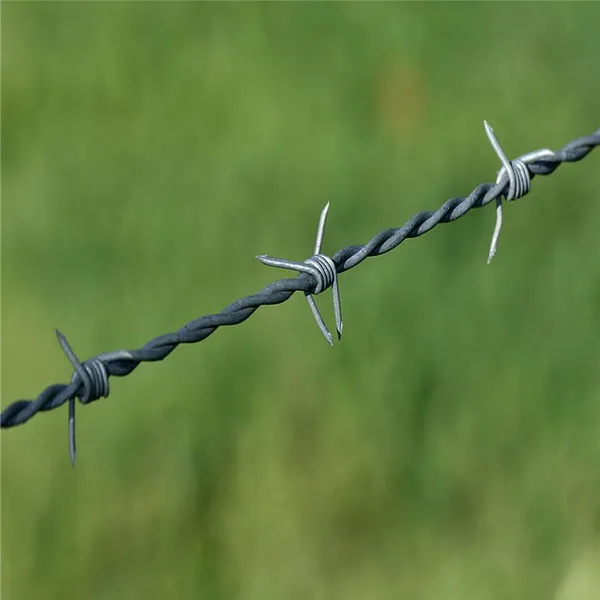 Reverse Twist Barbed Wire Mesh With 75mm-150mm Barbed Spacing for High-Security Areas photo-5