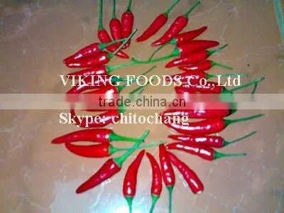 SMALL CHILI HIGH QUALITY FROM VIETNAM photo-2
