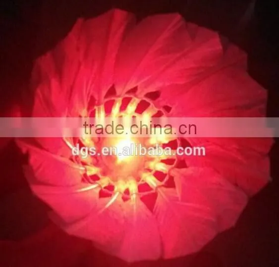 Popular Flashing Lighted Led Duck Leather Shuttlecock Badminton photo-4