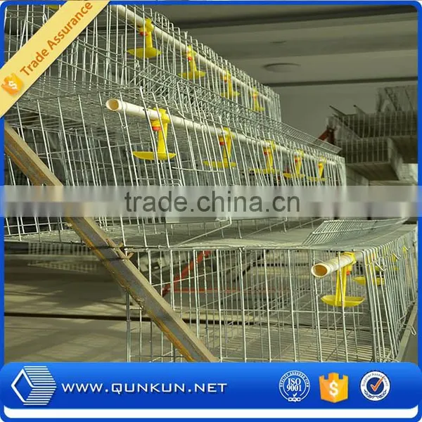 Allibaba.com Quail Bird Cage photo-5