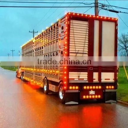 WEIKEN Auto Spare Parts Led Truck Tail Light Stop Brake Lamp Tail Light Lens Material Supplier's Choice photo-6