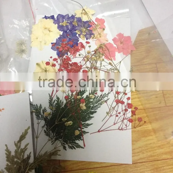 Ladies Love Transparent Flower Mobile Phone Bags Cases for Iphone 6 photo-6